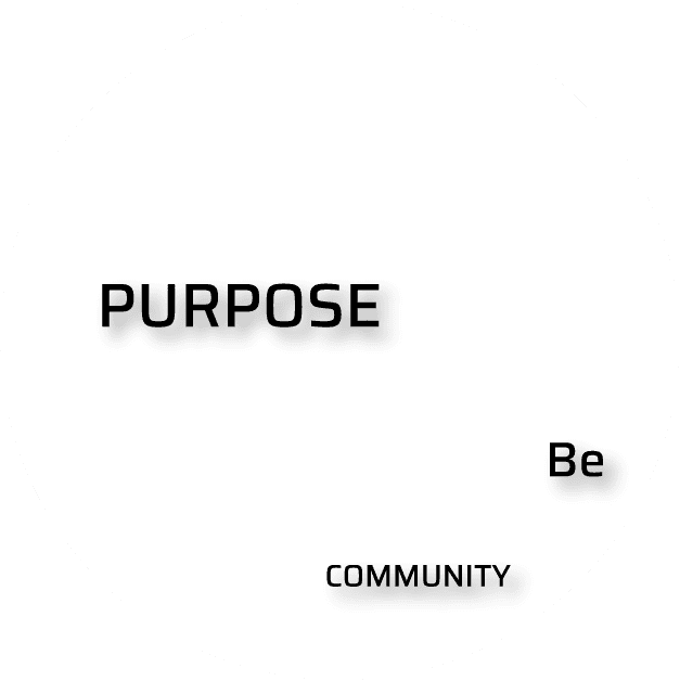 Purpose Alt1